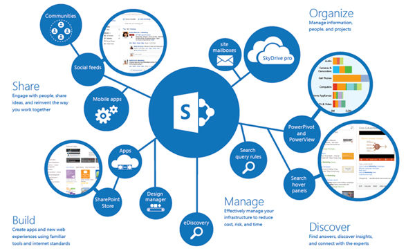 Share Point Portal Development 